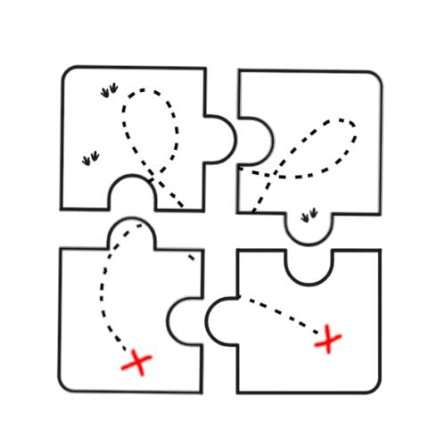 Ludi solutions